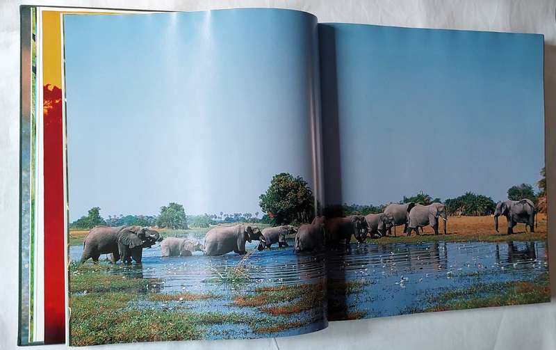 Mombo - Okavango's Place of Plenty - Mike Myers, Penny Hoets Grant Woodrow