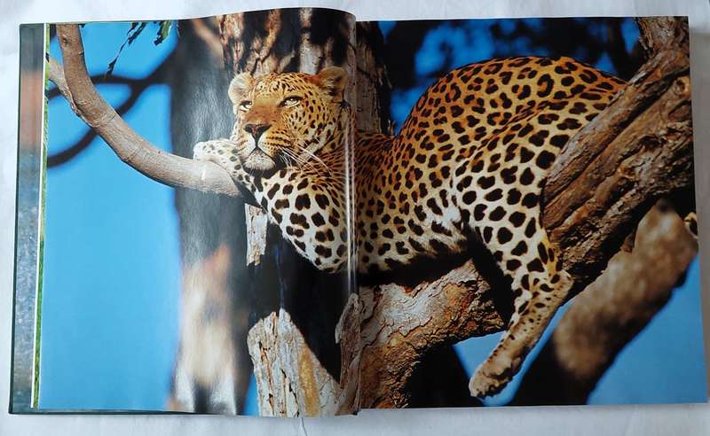 Mombo - Okavango's Place of Plenty - Mike Myers, Penny Hoets Grant Woodrow