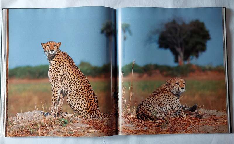 Mombo - Okavango's Place of Plenty - Mike Myers, Penny Hoets Grant Woodrow