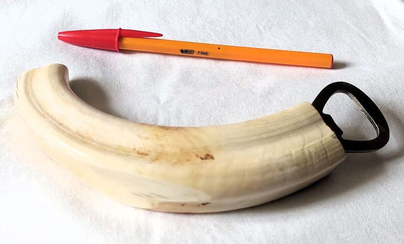 Warthog tusk bottle opener