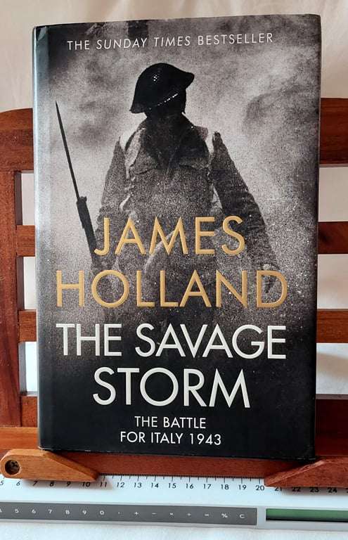 The Savage Storm - James Holland