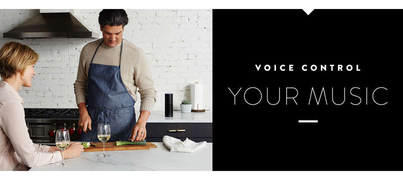 Voice control your music