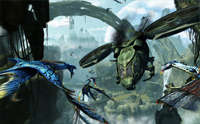 Online multiplayer