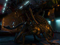 Aliens moving up all sides of a passage towards you in Aliens: Colonial Marines