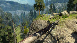 A bridge made by a fallen tree that must be crossed to track animals in 'Cabela's Big Game Hunter 2010'