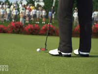 Putting on the green in Tiger Woods PGA Tour 13