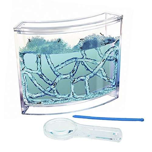 NAVAdeal Ant Artists, Ant Works Farm Castle, Live Ant Viewing Habitat, Educational Toy, Study Behav