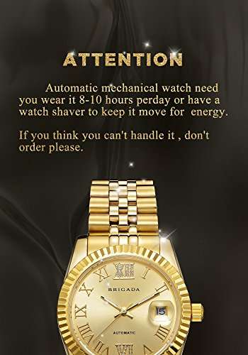 BRIGADA Swiss Watches Luxury Gold Watches for Men, Nice Automatic Hollow Mechanical Men's Watch, G
