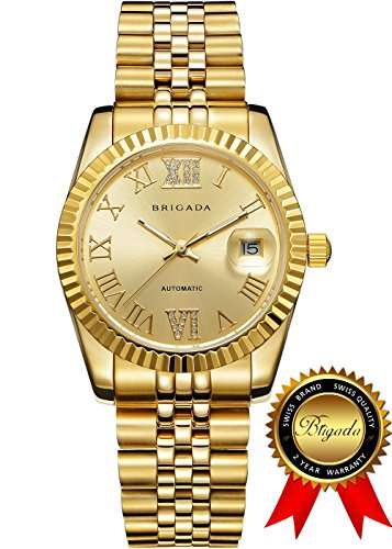 BRIGADA Swiss Watches Luxury Gold Watches for Men, Nice Automatic Hollow Mechanical Men's Watch, G