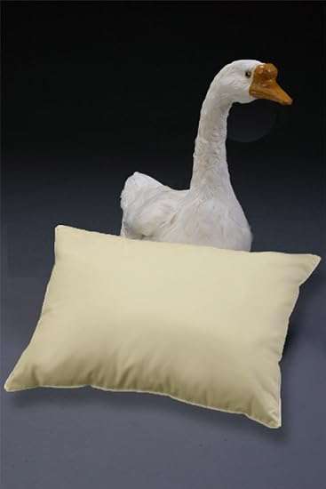Jack Brown - 1 Piece 65 x 35 cm Premium Duck Feather Pillow - White ***BRAND NEW***
