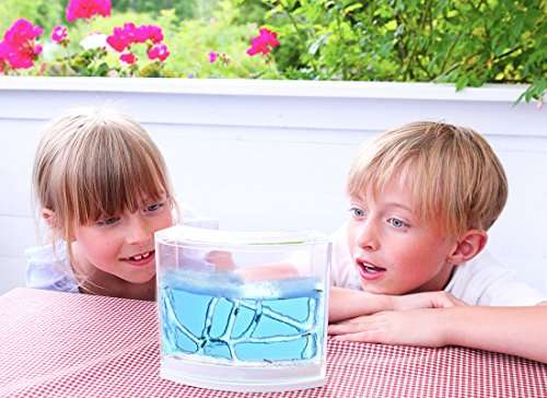 NAVAdeal Ant Artists, Ant Works Farm Castle, Live Ant Viewing Habitat, Educational Toy, Study Behav