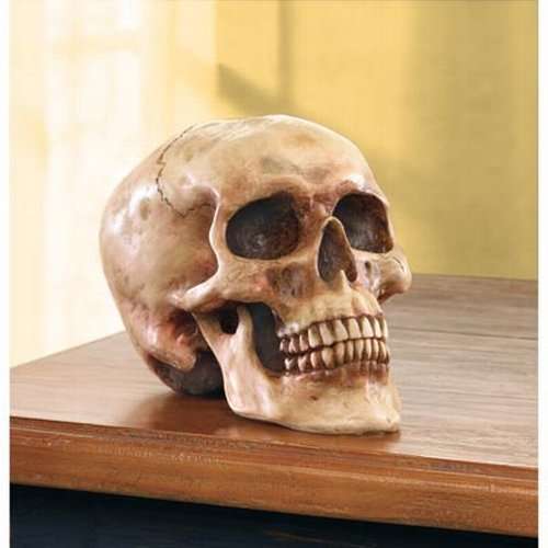 Gifts & Decor Grinning Realistic Replica Human Skull Home Statue (36245)