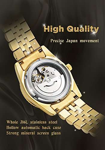 BRIGADA Swiss Watches Luxury Gold Watches for Men, Nice Automatic Hollow Mechanical Men's Watch, G