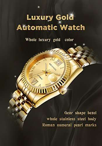 BRIGADA Swiss Watches Luxury Gold Watches for Men, Nice Automatic Hollow Mechanical Men's Watch, G