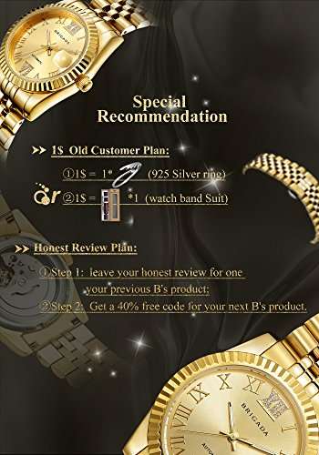 BRIGADA Swiss Watches Luxury Gold Watches for Men, Nice Automatic Hollow Mechanical Men's Watch, G