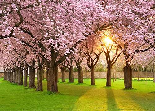 Leowefowa 7X5FT Bridal Shower Backdrop Cherry Blossom Backdrops for Wedding Ceremony Photography Su