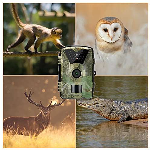 Remote Trail Camera Stealth Hunting Camera 1080P HD Night Vision 66 ft Self-timer Motion Sensor IP6