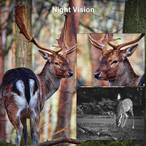 Remote Trail Camera Stealth Hunting Camera 1080P HD Night Vision 66 ft Self-timer Motion Sensor IP6