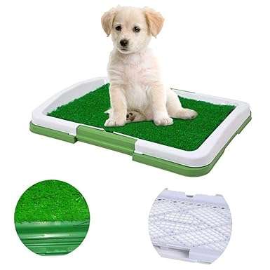 puppy potty training pad