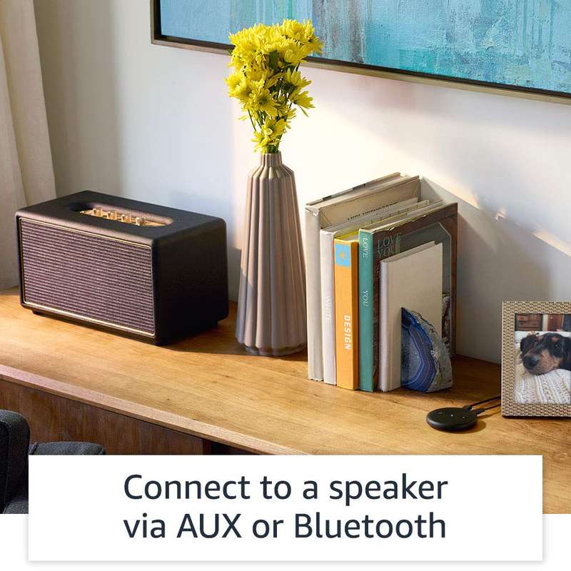 Amazon Echo Input: Smart Home Assistant - Alexa (LOCAL STOCK/Free delivery)