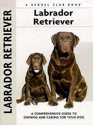 Labrador Retriever ( Kennel Club)