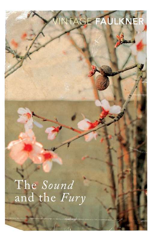 The Sound and the Fury by William Faulkner