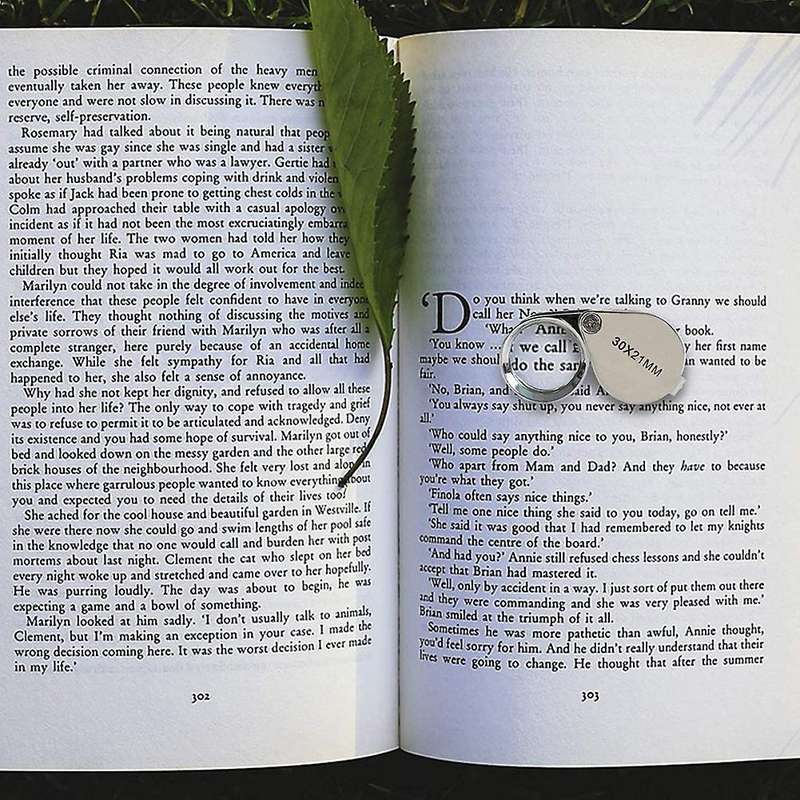 Mini 30 Times Handheld Magnifying Glass 30x21mm Full Metal Ring