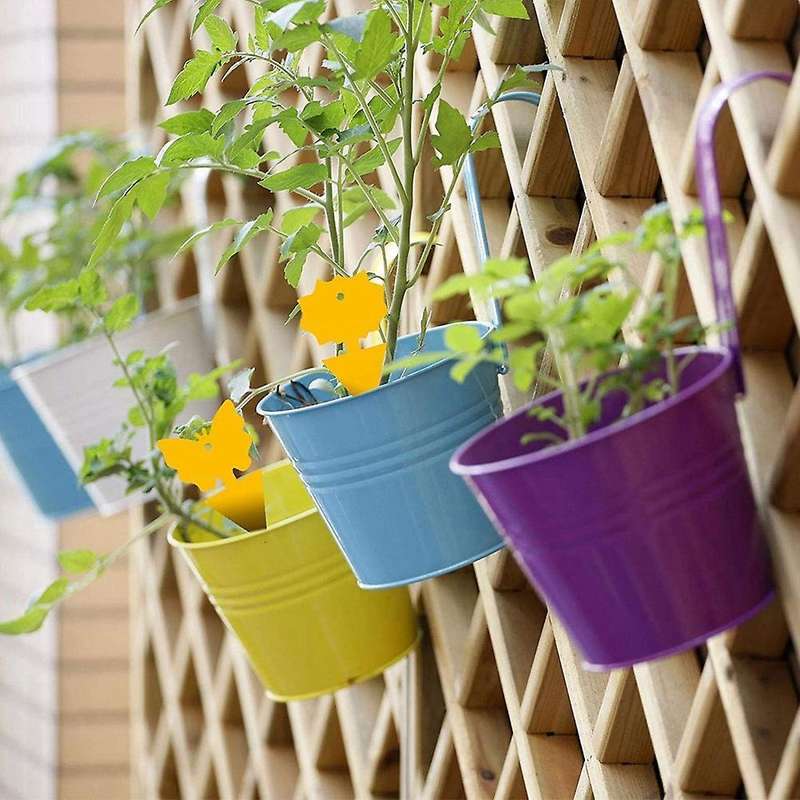 24pc Fruit Fly Sticky Traps,gnat Traps Insect Trap for Plants Outdoor