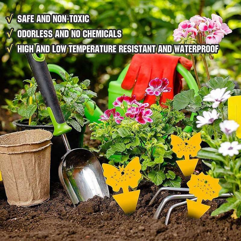 24pc Fruit Fly Sticky Traps,gnat Traps Insect Trap for Plants Outdoor