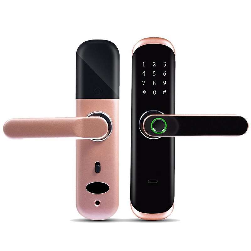Tuya App Mobile Phone Remote Password Smart Door Lock Rose Gold