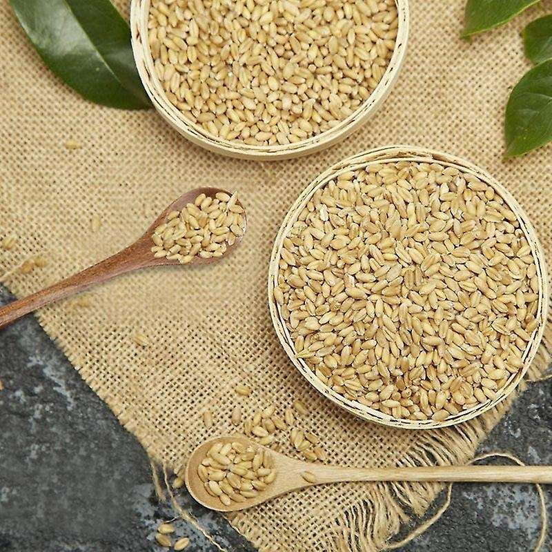 6 Pcs Wooden Spoon,long Handle Wood Spoons for Kitchen Mixing Cooking
