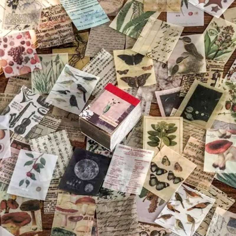 Vintage Diy Scrapbooking Journaling Supplies Plant Animal Butterfly