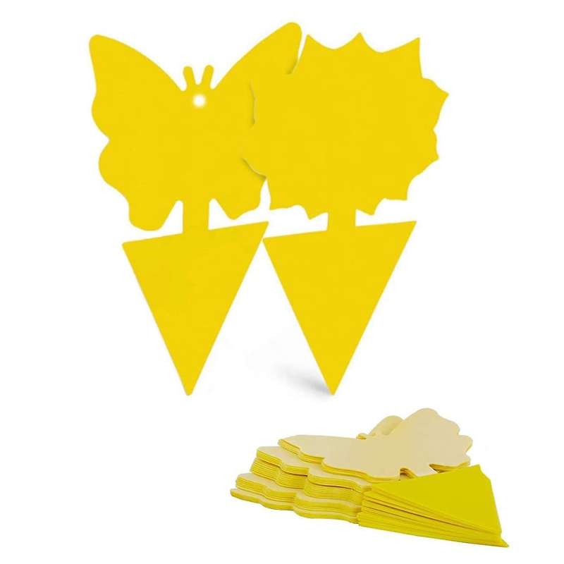 Fruit Fly Trap,for Kitchen,indoor/outdoor(12 Pack),dual-sided Yellow