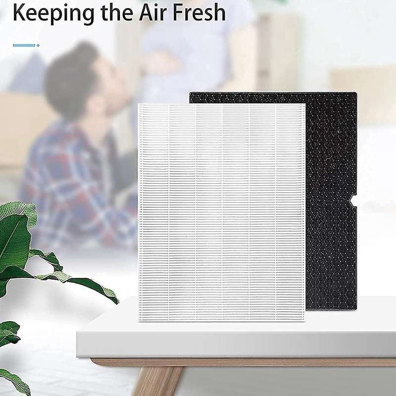 116130 Filter H Replacement Filters for Winix 5500-2 Air Purifier