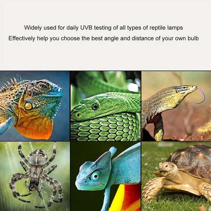 Uvb Tester High Accuracy Uvb Detector Uvb Test Instrument for Reptile