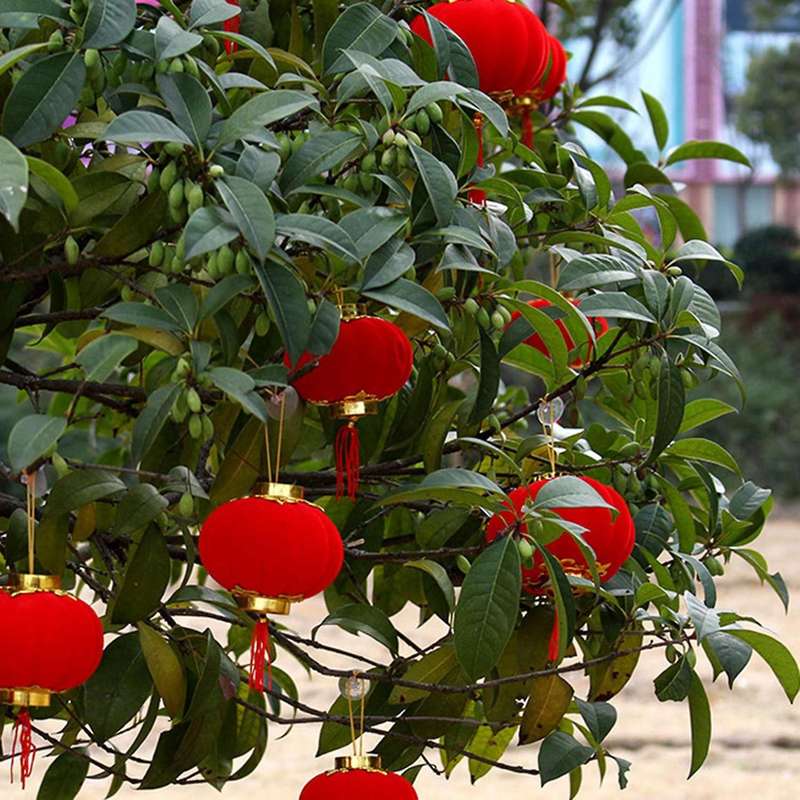 Lantern String Ornaments, A Series Of New Year's Day A