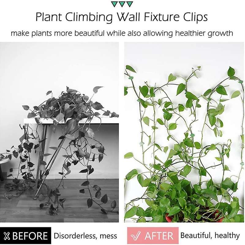 60 Pcs Plant Climbing Wall Fixture Clips Self-adhesive Traction Clips
