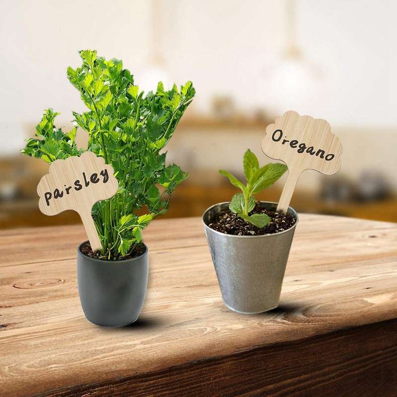 60pcs Bamboo Plant Label, 3 Kinds Of Plant Label Label