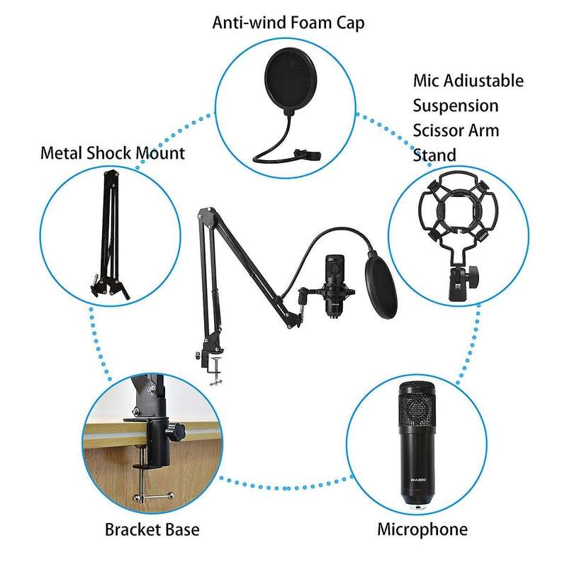 Condenser Microphone Bm800 V10 Pro Sound Card for Pc (black Gold)