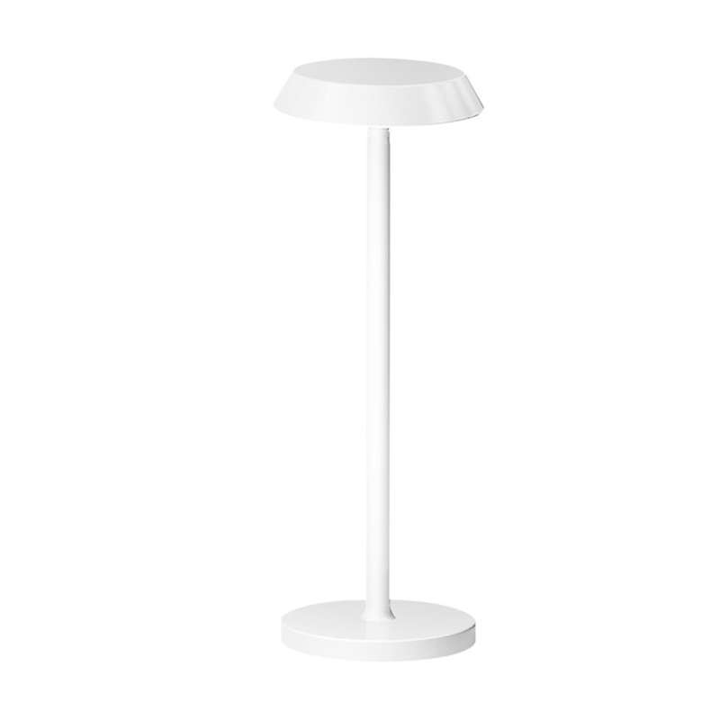 Cordless Table Lamp,led Metal Usb Rechargeable Night Light White