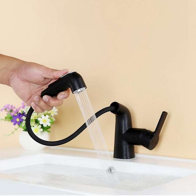 Basin Faucet 2 Modes Pull Down Spray Head for Bathroom Sink Bar