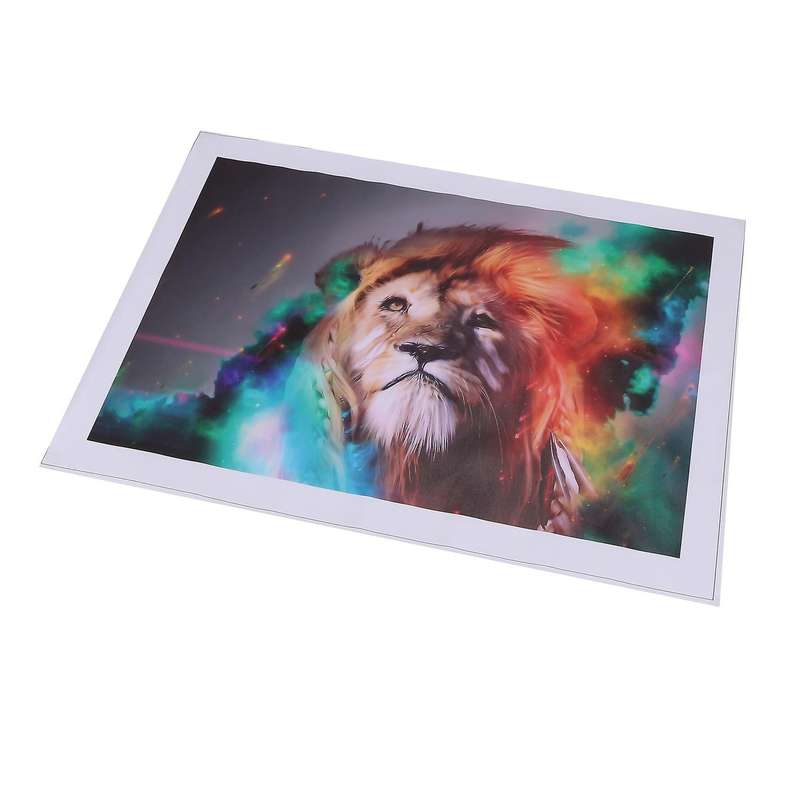Lion King Painting Prints On Canvas 40x60cm, Abstract Art Wall Decor