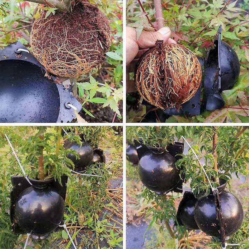 Plant Root Growing Box,can Be Used for Plant Propagation,small 5cm