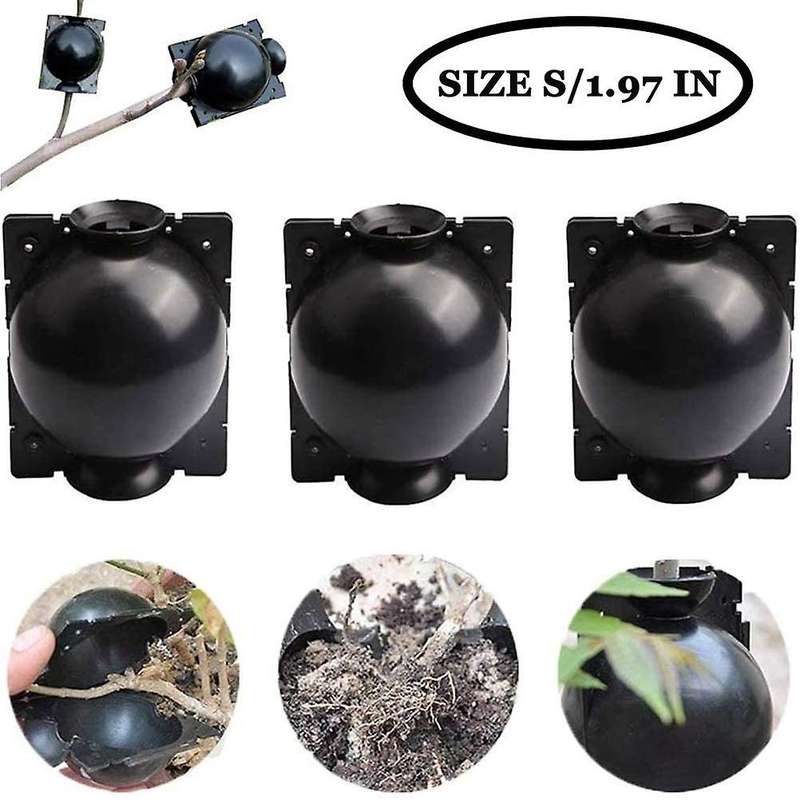 Plant Root Growing Box,can Be Used for Plant Propagation,small 5cm