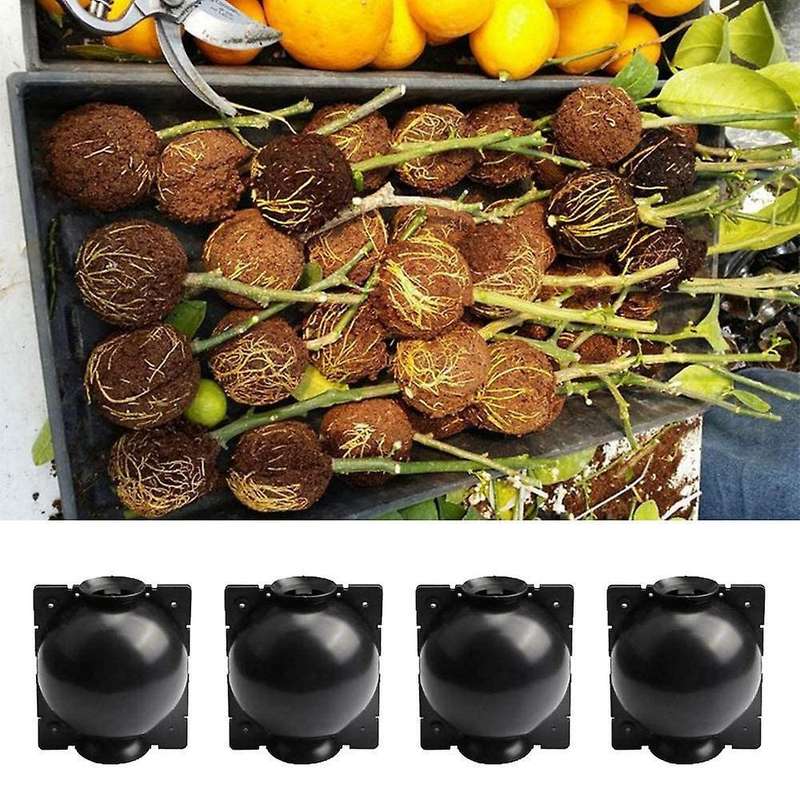 Plant Root Growing Box,can Be Used for Plant Propagation,small 5cm