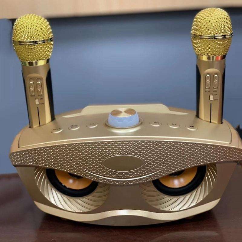 Sd306 Dual Bluetooth Speaker with Microphones Outdoor Family Ktv