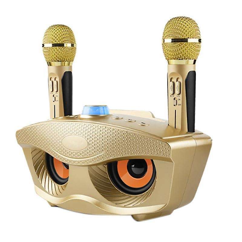 Sd306 Dual Bluetooth Speaker with Microphones Outdoor Family Ktv