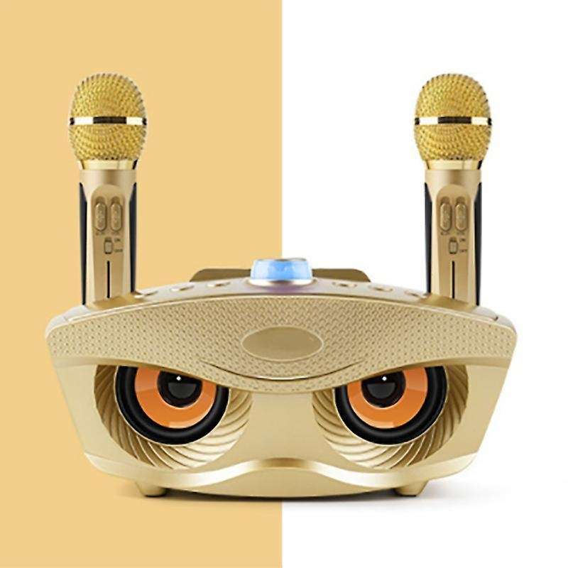Sd306 Dual Bluetooth Speaker with Microphones Outdoor Family Ktv