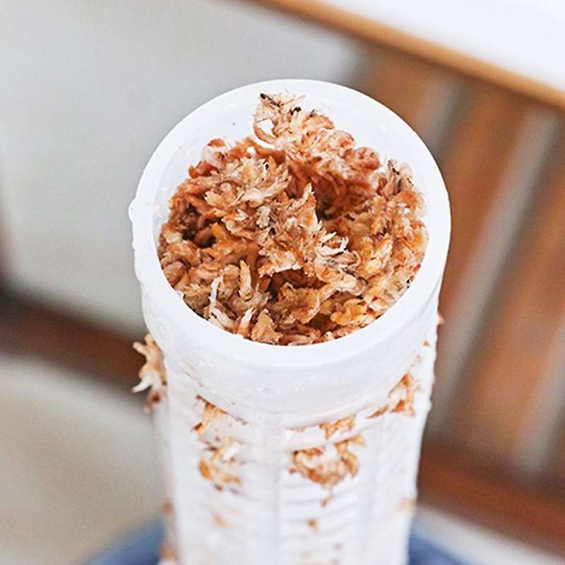 Climbing Plant Pole Plant Growing Support Coconut Palm Stick, S