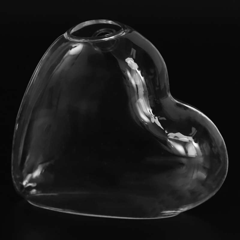 Heart Shaped Hanging Glass Vase Hanging Vase Wall Terrarium